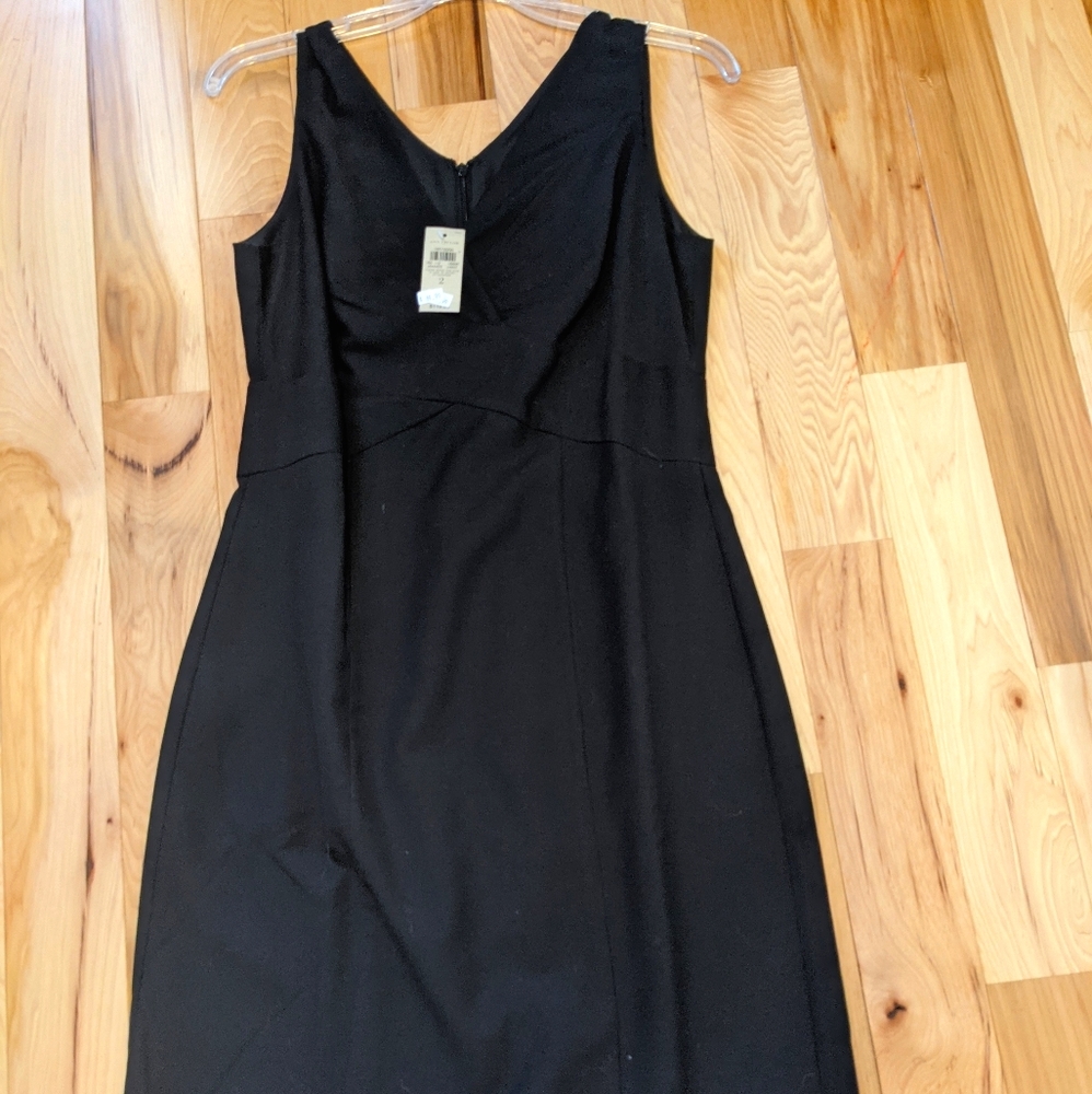 Ann Taylor Womens V-Neck Dress (size two)